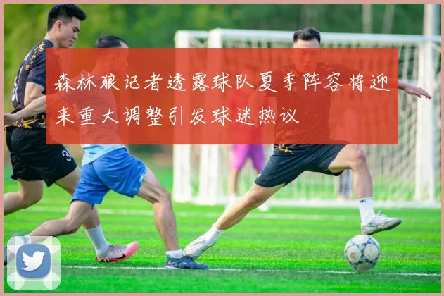 森林狼记者透露球队夏季阵容将迎来重大调整引发球迷热议
